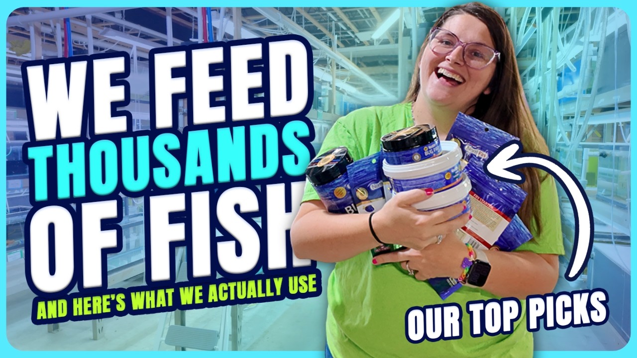 BEST Food for Aquarium Fish | We Feed THOUSANDS of Fish... Here's What We Actually Use!
