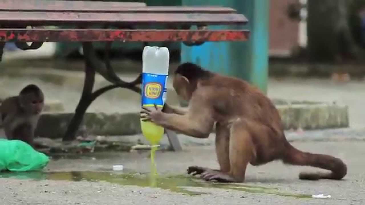 Made in Ecuador – (Entry # 4 – Short Film of the Year Awards 2014)