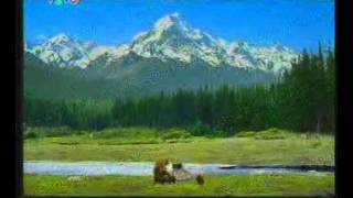 06 19 11 LG Elec Home Appliances LG Elec Home Appliances Range CORPORATE 30s TVC Archives screenshot 5