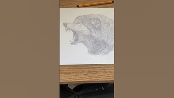 Wolf Drawing! #wolfart #wolfdrawing #wolfdog #wolfchannel #animalart #animalartist #wildlifeart #art