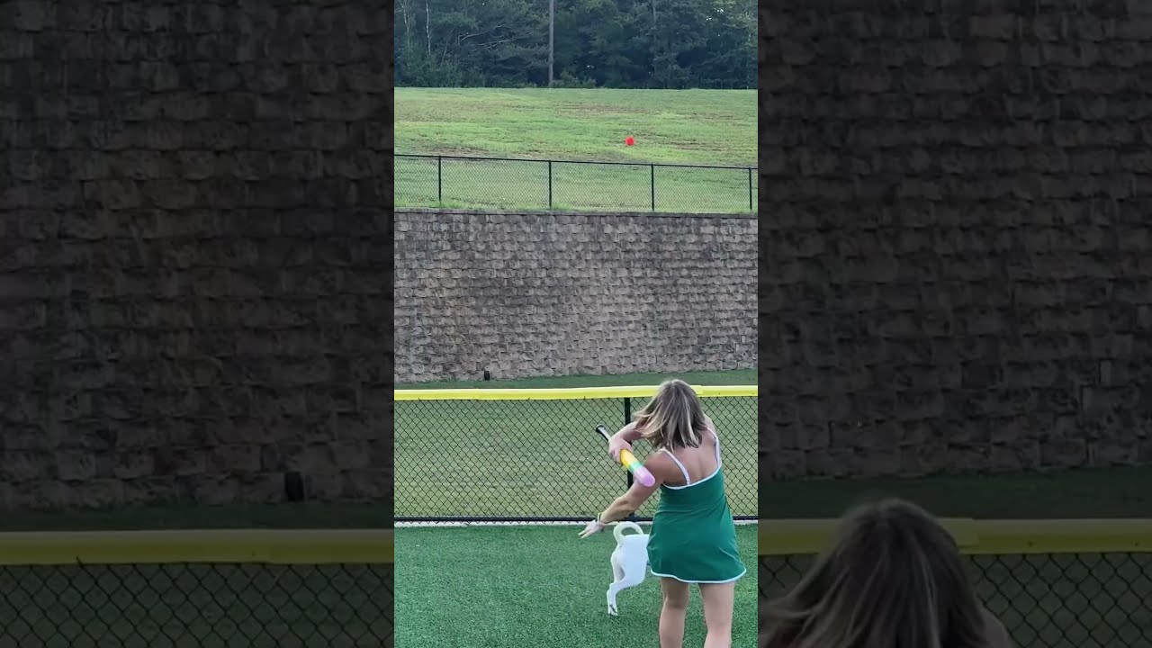 Avoid These Dog Baseball Training Mistakes