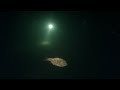 Пятихатский (Савровский) карьер Ночной дайв Пятихатки Днепропетровской области