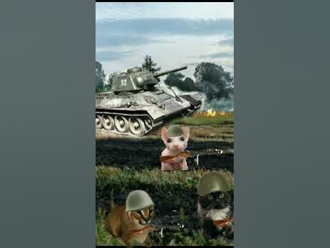 шлёпа на войне (2часть)#кот #бингус #чмоня #шлёпа #чечил - YouTube