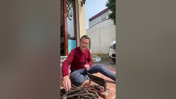 Nhục thung dung vị thuốc trời đất ban cho đàn ông #shorts