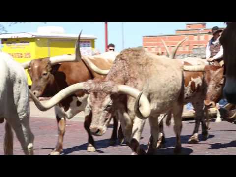 Vídeo: As melhores compras em Fort Worth