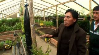 Agriculture Urbaine - ProDAs -- Urban agriculture - Agricultura urbana