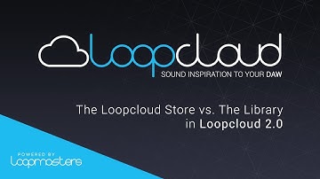 Loopcloud 2.0 Tutorial | The Loopcloud Store vs. The Library
