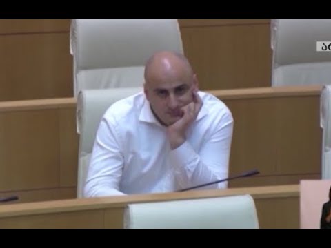 კანონზე მაღლა არავინ დგას -\"ოცნება\"  მლეიასთვის სადეპუტატო უფლებამოსილების შესაწყვეტად მზა დ არის