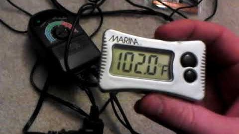 Tips on Reptile Thermostats - Benjamin