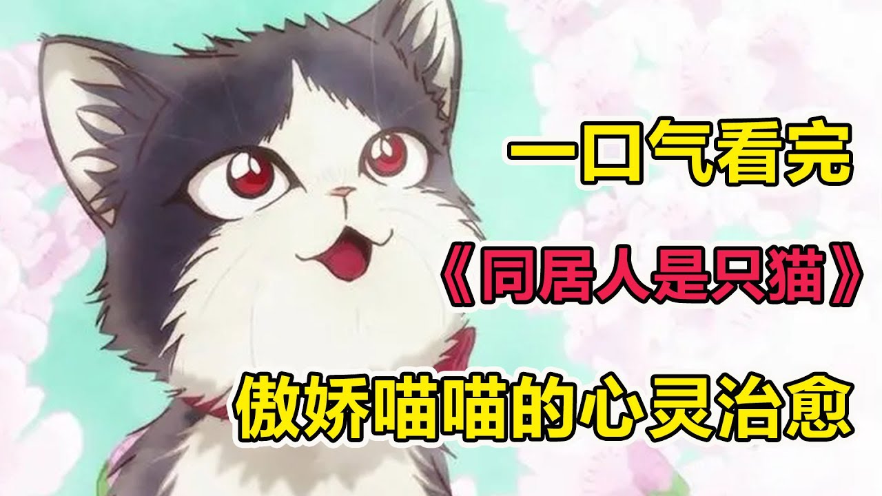 失去雙親的人氣作家被小貓咪撫養了？！究極社恐作者險些餓死家中！小貓主動投餵鏟屎官！一口氣看完萌寵番《同居人是只貓》合集！