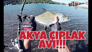 AKYA (ÇIPLAK) AKYA (ÇIPLAK)