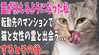 猫の不思議な話 Youtube 猫の不思議な話 Youtube