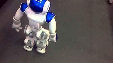 NAO Video 1