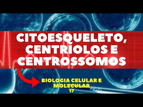 Vídeo: Os centrossomos contêm centríolos?