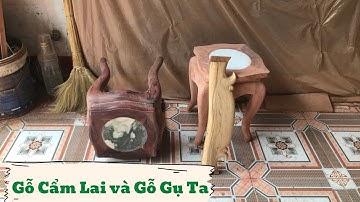 Video So Sánh Phân Tích Gỗ Cẩm Lai Và Gỗ Gụ Ta