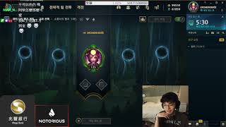 小柴犬不可以色色