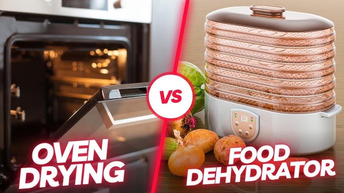 How to Use a Dehydrator to Preserve Food : Collapsible Dehydrator Review, FN Dish - Behind-the-Scenes, Food Trends, and Best Recipes : Food Network