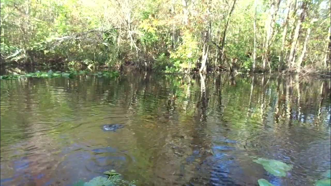 Fishing the Marina Canal in Satsuma Florida YouTube