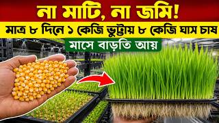 ৮ দিনে ১ কেজি ভুট্টা থেকে ৮ কেজি ঘাস! Hydroponic Fodder Farming in Bangladesh