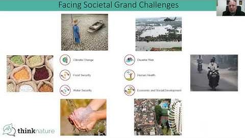 ThinkNature Webinar 1 - Typologies and classification of NBS practices, N. Nikolaidis