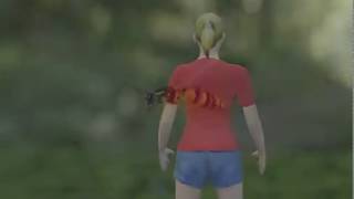 Why does it hurt so much to be stung by a wasp Animated explainer