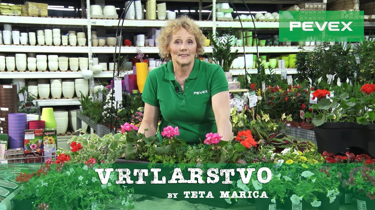 Vrtlarstvo by Teta Marica  - Sadnja balkonskog cvijeća
