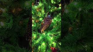 Animal Kingdom Lodge Christmas!  #disney #disneyresorts #disneyworld #animalkingdomlodge