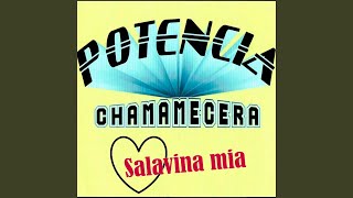 Video voorbeeld van "Potencia Chamamecera - Año Tras Año"