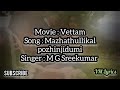 Mazhathullikal pozhinjidumi nadan vazhi song Vettam movie @vmlyrics_3 Mp3 Song