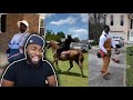 WHO GAVE BRUH A HORSE??😂 DESI BANKS “HOW HOOD DUDES BE” TIKTOK COMPILATION REACTION