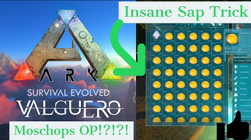 VALGUERO CRAZY SAP TRICK!!! WITH MOSCHOPS!!