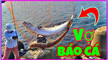 Câu Cá Ở Nhật/Hôm Nay Vợ Mình Báo Cá Chính Thức Hết Móm//Chàng Trai Bến Tre Tv