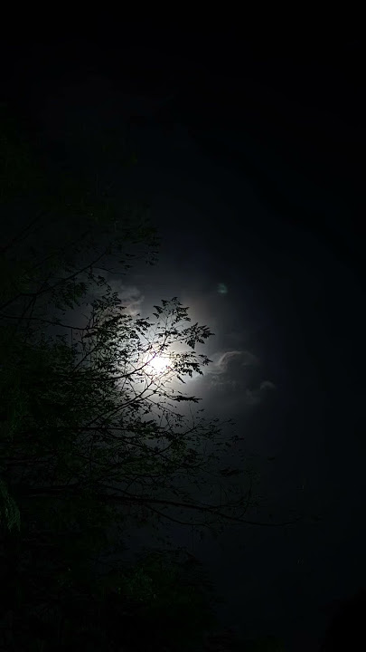 Chand Chupa Badal Mein🌚🌛 #bollywood #bollywoodsongs #song #trend #hindisong #love #nature #shorts