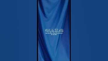 سورة الشورى [27] القارئ مختار الحاج