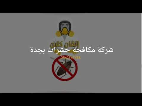 أفضل شركة تعقيم بجدة شركة إتقان كلين 0542967498