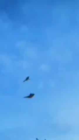 yo Melo sansar ko Avan Javan reet#karni aise kar chalo#sab gave ka geet#ssave birds#feel water बीज