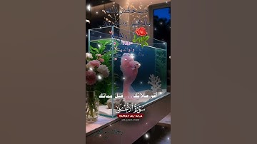 تلاوة خاشعة عطرة مباركة جميلة عذبة للشيخ ماهر المعيقلي ماتيسر من سورة الأعلى