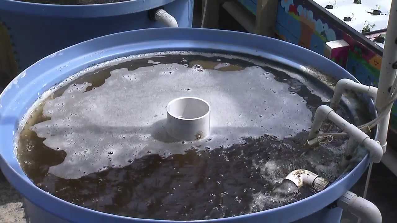 Aquaponics | FunnyDog.TV