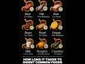 Food Digestion Time ⏳ | How Long Different Foods Stay in Your Stomach
