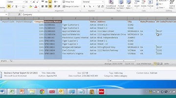 Infor LN Creating Excel Export Files - Business Partner Example with Import