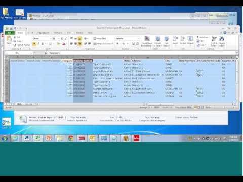 Infor LN Creating Excel Export Files - Business Partner Example with Import
