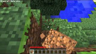 Minecraft Full Screen Test 2
