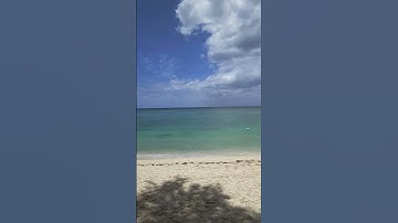 fliq en flaq Mauritius 🇲🇺