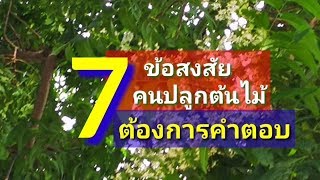 7ข้อสงสัยคนปลูกต้นไม้ต้องการคำตอบ ep42