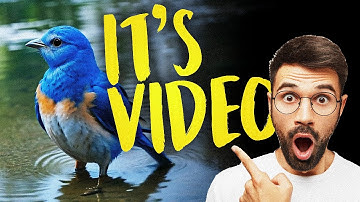 Free AI tools for creating video | Unlock Your Creativity