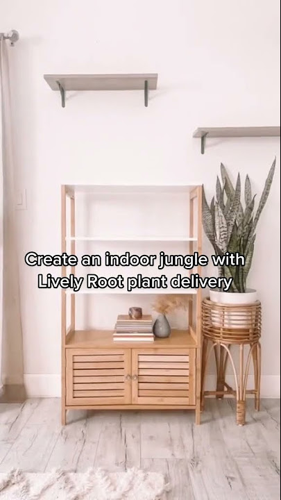 14+ Lively Root Plants