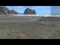 beautiful Piha Beach, New Zealand