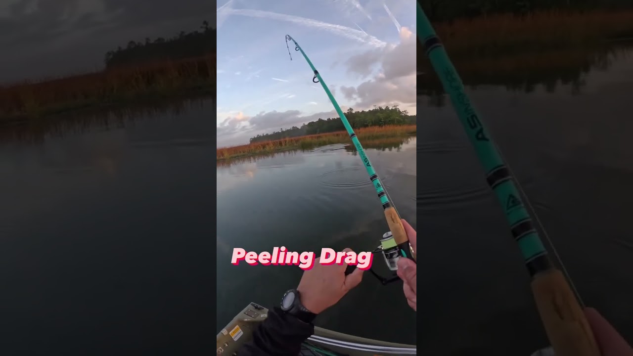 Fishing reel peeling drag, is there a better sound? 