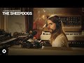 The Sheepdogs - Nobody | OurVinyl Sessions