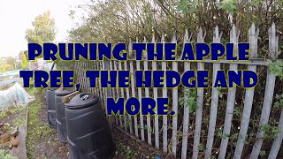 Pruning the apple tree putting the beds to bed and more. by Wayne's Allotment 117 views 1 year ago 23 minutes